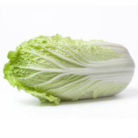 Watts Farms Chinese Leaf Cabbage - AOS Express